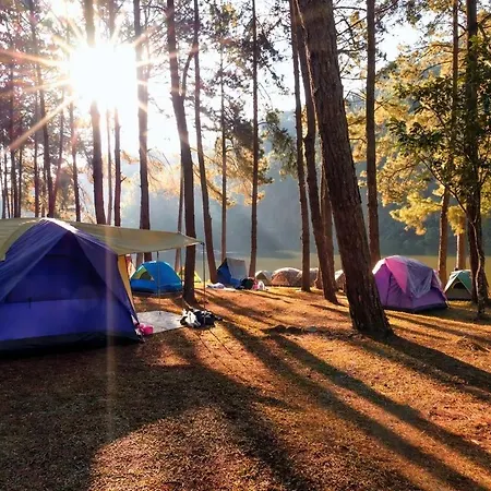 Nurral - Tent