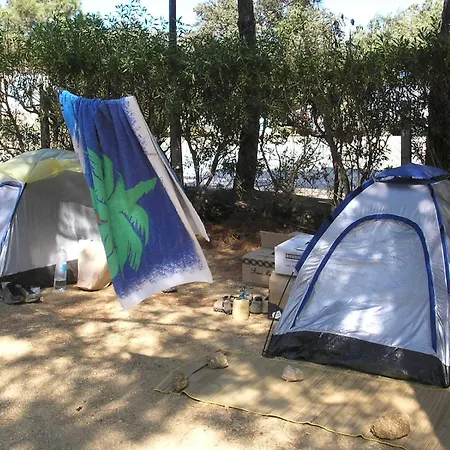 Nurral - Tent *